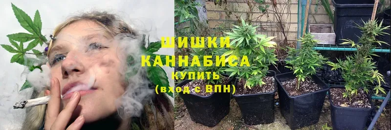 Конопля THC 21%  купить закладку  Лакинск 